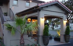 Terra Vive Suites & Apartments